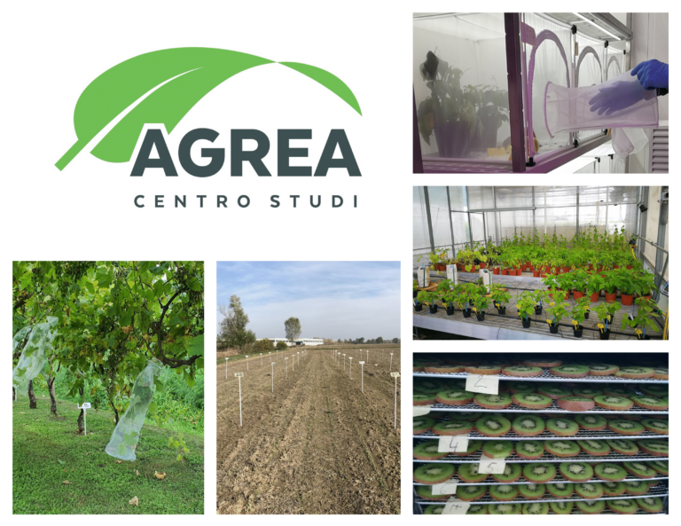 Intervista ai 5 soci fondatori di AGREA