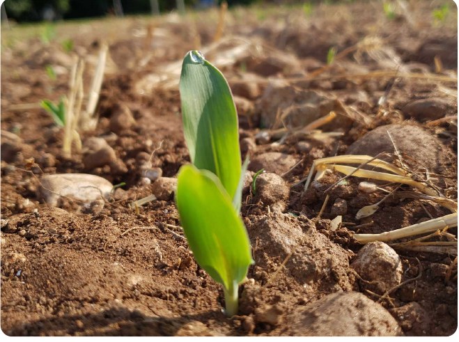 I nostri progetti di ricerca applicata
